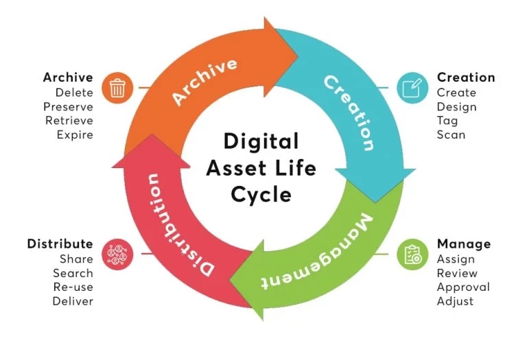 Diagram of the life cycle stages of a digital asset