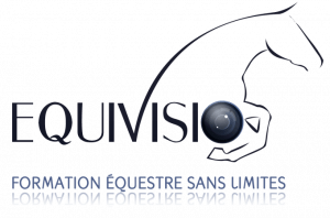 Equivisio logo Equivisio logo