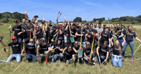 Les équipes d’Apizee à l’assaut des plantes invasives de Bretagne
