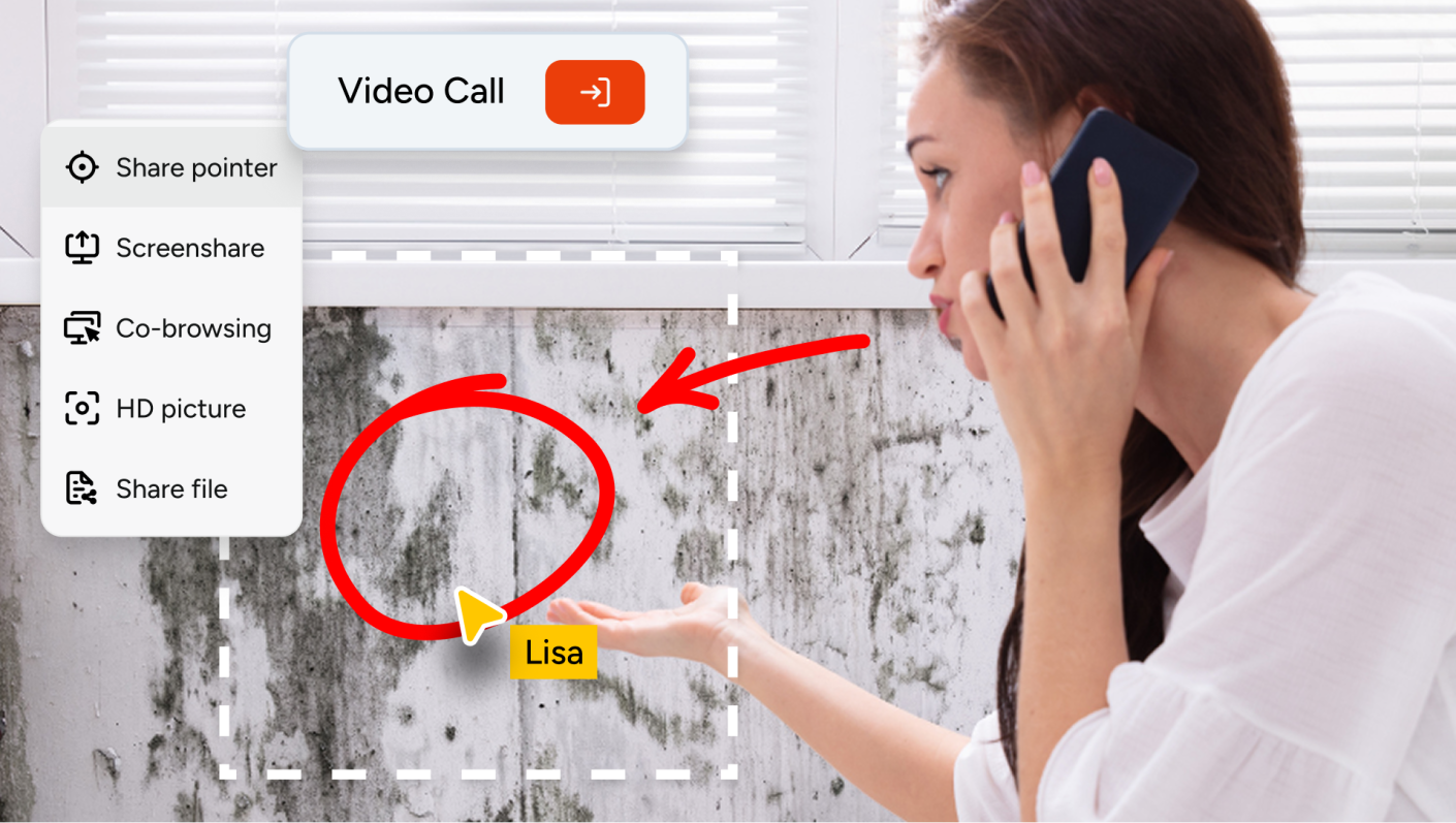 Remote visual inspection - Apizee