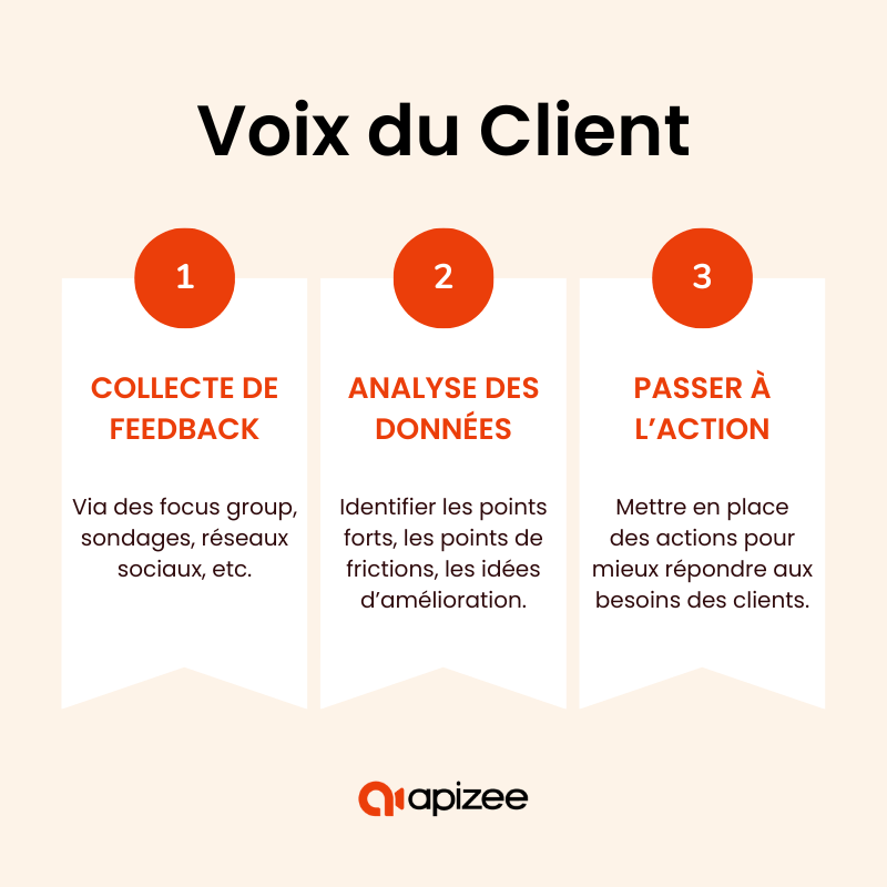 Sch&eacute;ma Voix du Client