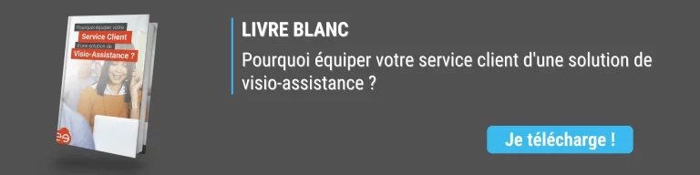 Banni&egrave;re livre blanc visio-assistance
